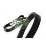 BGA Group 5PK1236E - Drive Belt