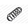 Neox SP7429 - Coil Spring (Rear)