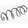 Neox SA6504 - Coil Spring (Front)