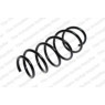 Neox SP7217 - Coil Spring (Front)