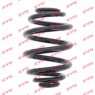 KYB RJ5256 - Coil Spring (Rear)