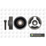 BGA Group DP0200K - Torsion Vibration Damper