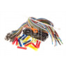 Febi 107065 - Panel (Front+Rear Left Hand+Right Hand)