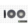 BGA Group DP1210 - Torsion Vibration Damper