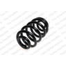 Neox SX6353 - Coil Spring (Rear)