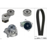 INA 529033030 - Drive Belt/Water Pump Kit
