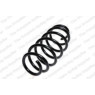 Neox SP6617 - Coil Spring (Front)
