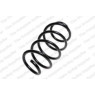 Neox SH6275 - Coil Spring (Front)