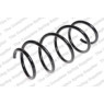 Neox SP6909 - Coil Spring (Front)