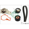 INA 530069830 - Timing Belt-Water Pump Kit