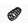 Neox SP7222 - Coil Spring (Rear)
