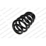 Neox SP7222 - Coil Spring (Rear)