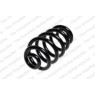 Neox SP8894 - Coil Spring (Rear)