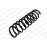 Neox SP8904 - Coil Spring (Rear)