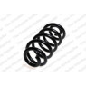 Neox SP7177 - Coil Spring (Rear)
