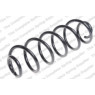 Neox SH6506 - Coil Spring (Rear)