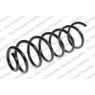 Neox SP6994 - Coil Spring (Rear)
