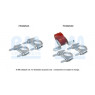 BM Catalysts FK50254 - Fitting Kit-Exhaust