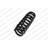 Neox SP7254 - Coil Spring (Rear)