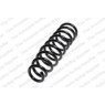 Neox SP7721 - Coil Spring (Front)