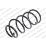 Neox SP9371 - Coil Spring (Front)