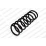 Neox SA6243 - Coil Spring (Rear)