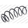 Neox SP6631 - Coil Spring (Front)