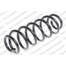 Neox SP7637 - Coil Spring (Rear)