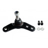 Camber CBJ25430 - Ball Joint (Front Right Hand)