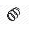 Neox SP7795 - Coil Spring (Front)