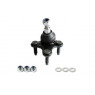 Camber CBJ25463 - Ball Joint (Front Left Hand)