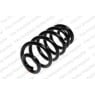 Neox SH6329 - Coil Spring (Rear)
