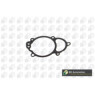 BGA Group AH0120 - Timing Case Gasket
