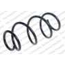 Neox SP9671 - Coil Spring (Front)