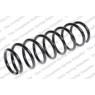 Neox SP7322 - Coil Spring (Front)
