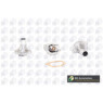 BGA Group CT5245 - Thermostat