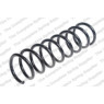 Neox SA6363 - Coil Spring (Rear)
