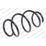 Neox SP7603 - Coil Spring (Front)