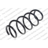 Neox SP7315 - Coil Spring (Front)