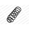 Neox SP8552 - Coil Spring (Rear)