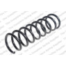 Neox ST1044 - Coil Spring (Rear)