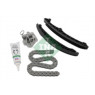 INA 559019920 - Timing Chain Kit