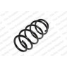 Neox SH6300 - Coil Spring (Front)