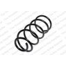 Neox SG6035 - Coil Spring (Front)