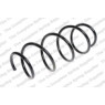 Neox SP7495 - Coil Spring (Front)