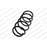 Neox SH6032 - Coil Spring (Front)