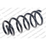 Neox SP7460 - Coil Spring (Rear)