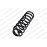 Neox SC6289 - Coil Spring (Rear)