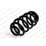 Neox SP9062 - Coil Spring (Rear)