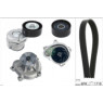 INA 529031230 - Drive Belt/Water Pump Kit